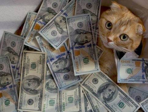 [AlexFri] Обучение заработку от 40-80+$ в сутки бе_0.jpg